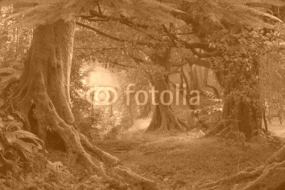 Jungla tropical del sudeste asiático 