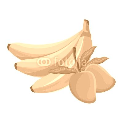 banana and mango fruit tropical food vector illustration eps 10