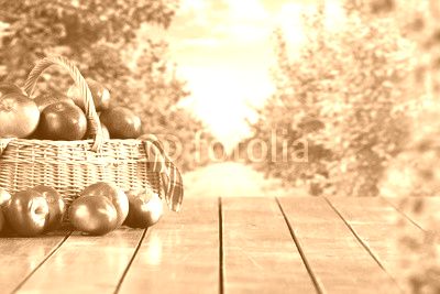 apples 