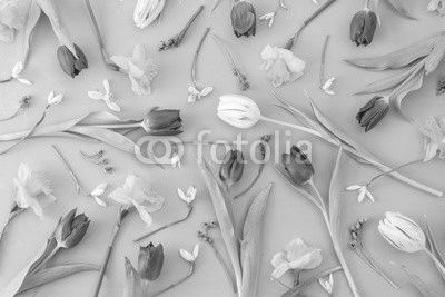 Floral background