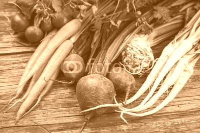 Fresh organic vegetables