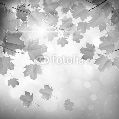 Autumn leaves