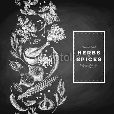 Vector background with hand drawn herbs and spices.
