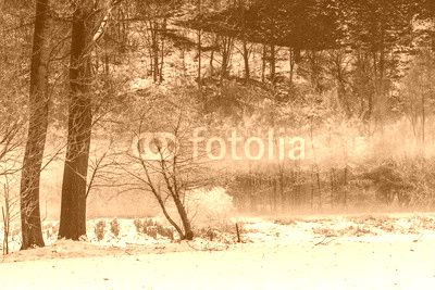 paesaggio invernale