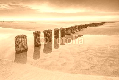 Wschód słońca na plaży