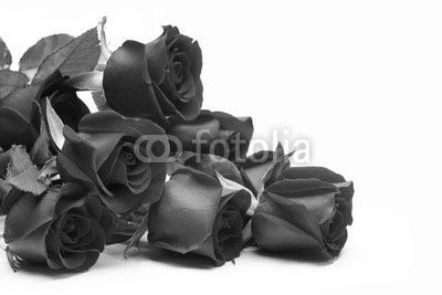 Bouquet of roses