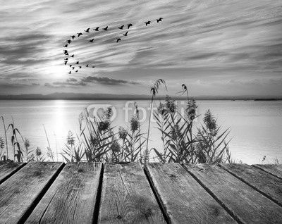 amanecer en la orilla del lago