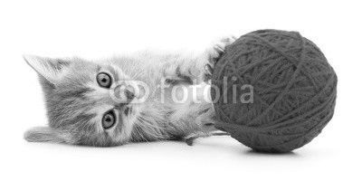 Kitten with ball of yarn.