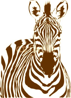 zebra