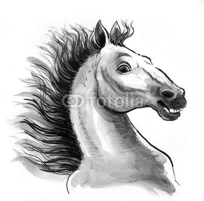 White horse