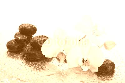 Spa stones and orchid flowers, isolated on white.