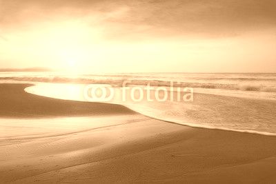 beach shore at sunset