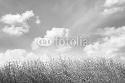 Natural backgrounds