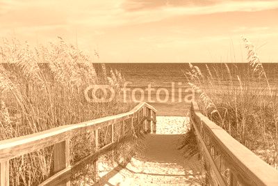 Beach Boardwalk with Dunes and Sea Oats