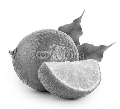 Whole and slice of lime with leaves