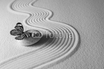 Zen butterfly