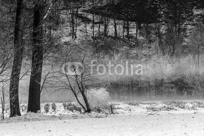paesaggio invernale