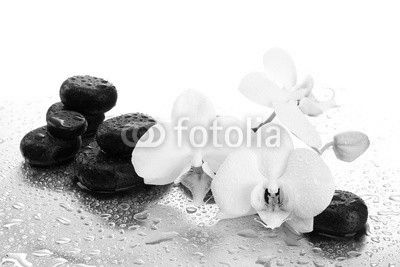 Spa stones and orchid flowers, isolated on white.