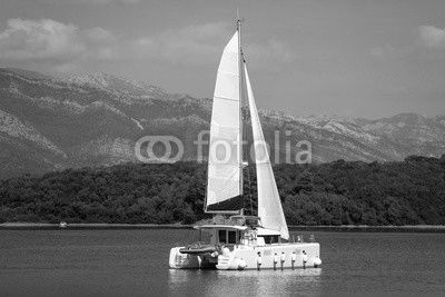 Sailing catamaran