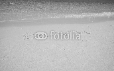 Wave of the sea on the sand beach, Letters Beach