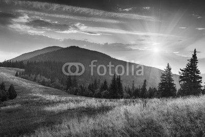 Sunrise above peaks of smoky mountain with the view of forest in the foreground. Dramatic overcast sky. 
