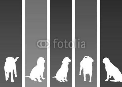 colourful dog banners